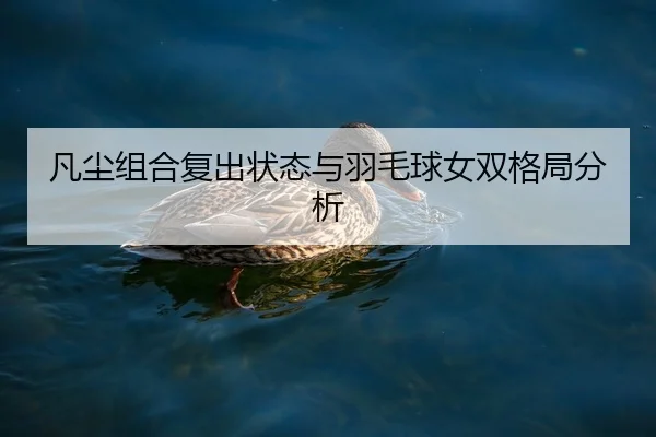 凡尘组合复出状态与羽毛球女双格局分析