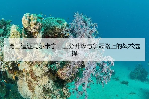yong-shi-zhui-zhu-ma-er-ka-ning-san-fen-sheng-ji-yu-zheng-guan-lu-shang-de-zhan-shu-xuan-ze-3-785.jpg
